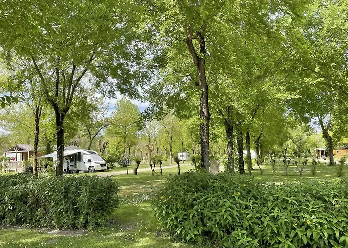 4 étoiles - Piscine - Eehefh Camping *